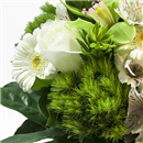 /fileuploads/Produtos/Bouquets e Ramos/thumb__Bouquet_Green_Life_02.jpg